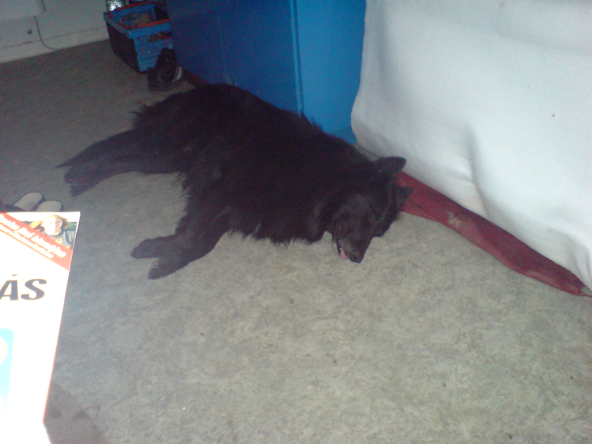 DSC00438.JPG