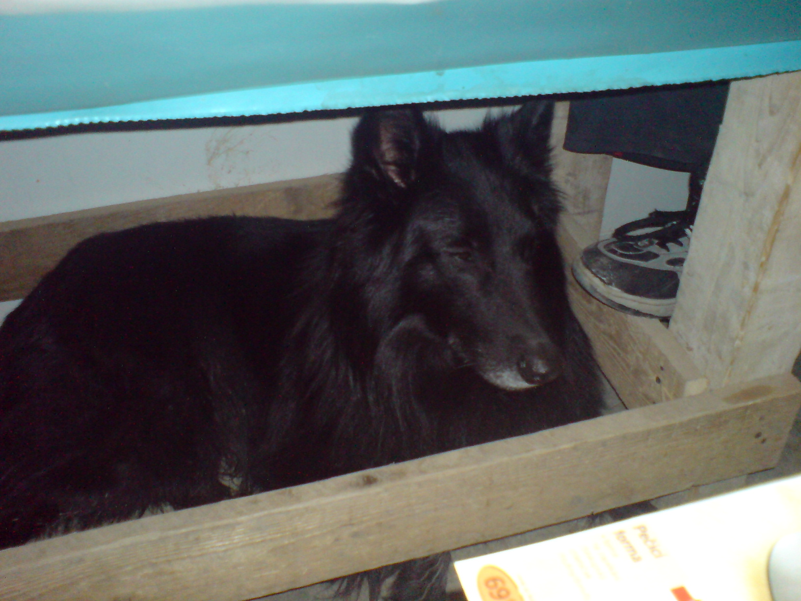 DSC00530.JPG
