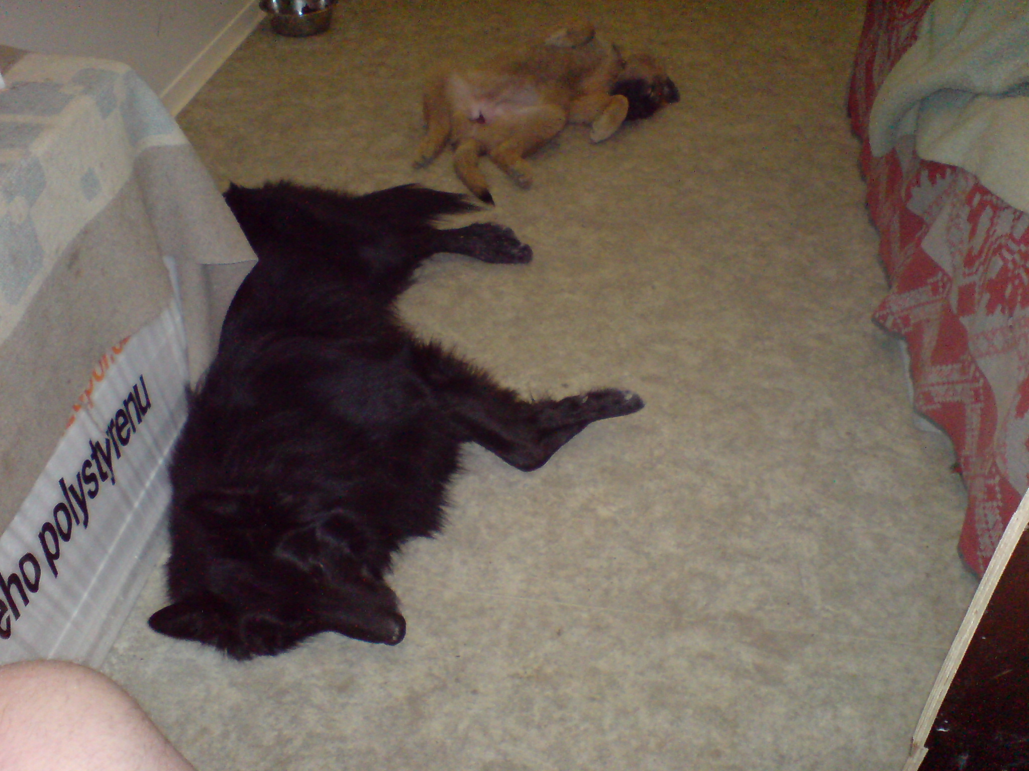 DSC00348.JPG