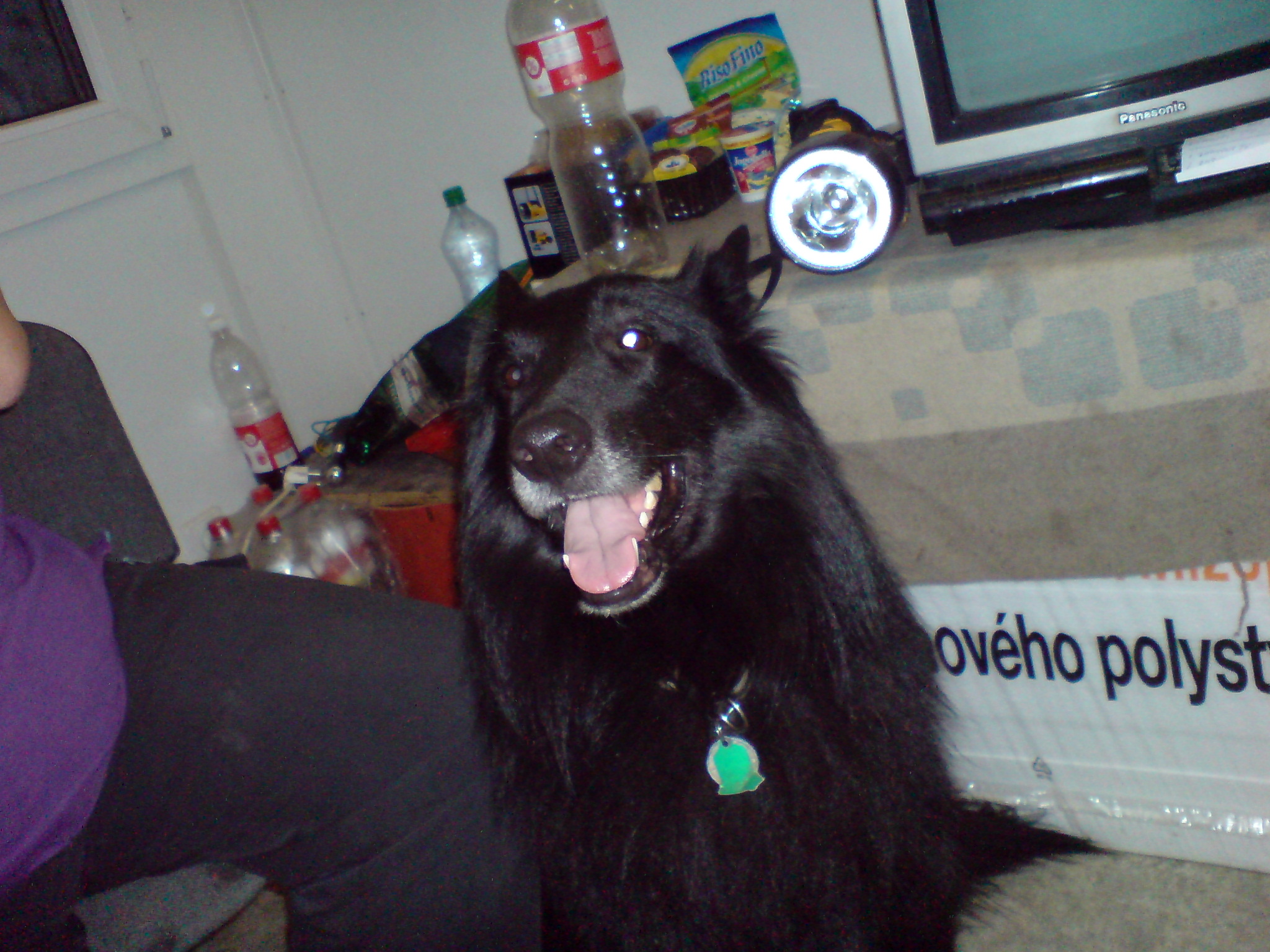 DSC00352.JPG