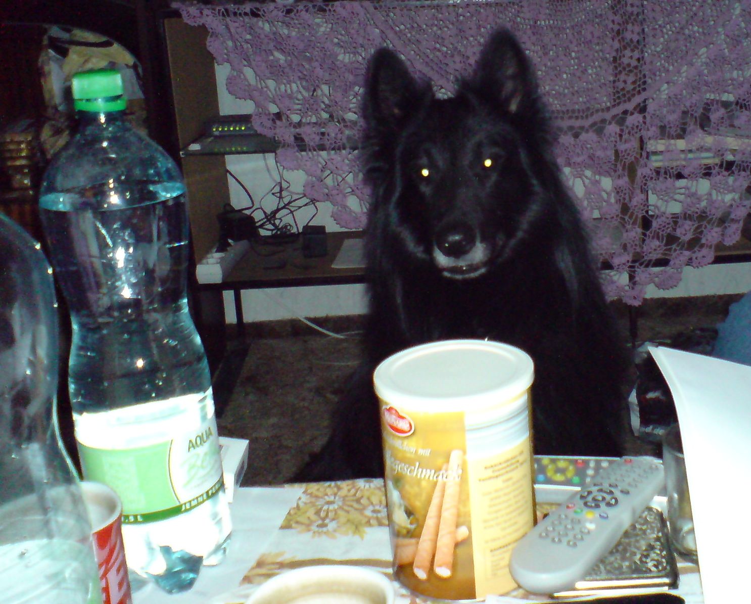 DSC00360.JPG