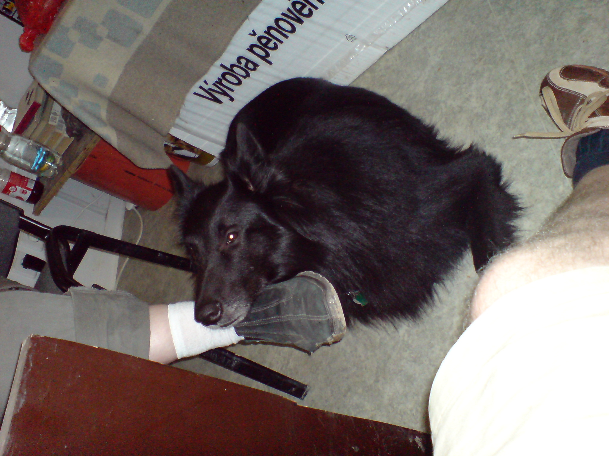 DSC00362.JPG